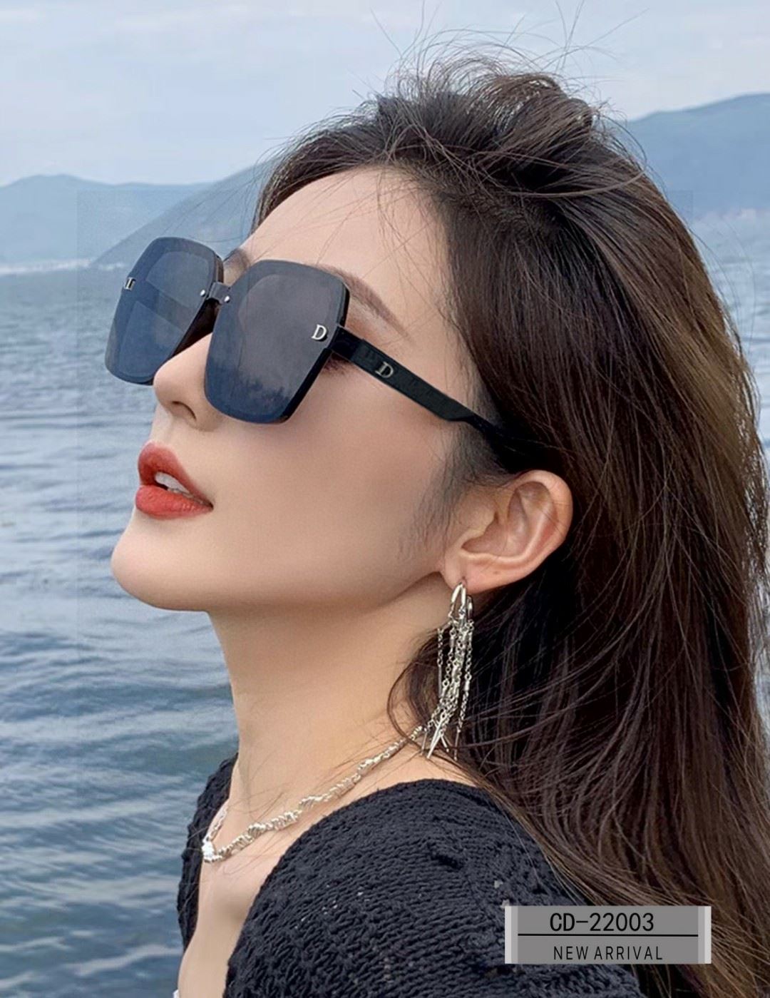 Christian Dior Sunglasses